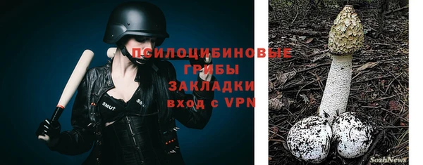 соль курить ск Краснослободск