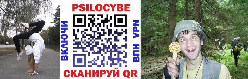 где продают наркотики  Чухлома  Галлюциногенные грибы Psilocybine cubensis 
